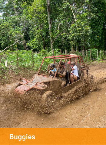 1-Buggies