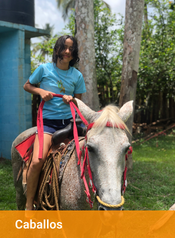 3-caballos